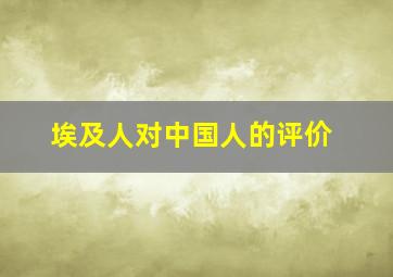 埃及人对中国人的评价