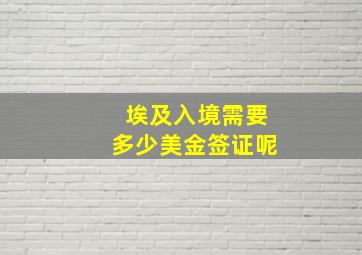 埃及入境需要多少美金签证呢