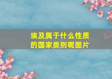 埃及属于什么性质的国家类别呢图片