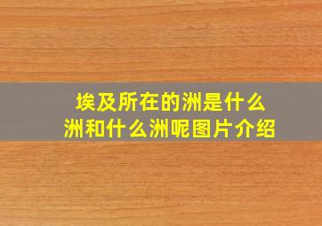 埃及所在的洲是什么洲和什么洲呢图片介绍