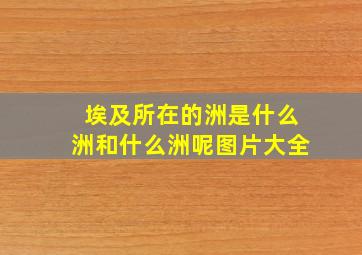 埃及所在的洲是什么洲和什么洲呢图片大全