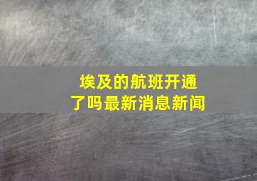 埃及的航班开通了吗最新消息新闻