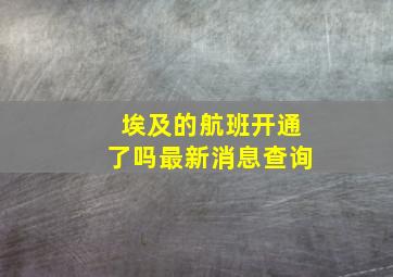 埃及的航班开通了吗最新消息查询