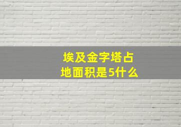 埃及金字塔占地面积是5什么