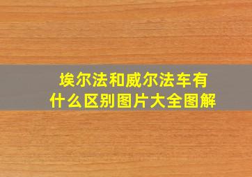 埃尔法和威尔法车有什么区别图片大全图解