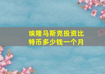 埃隆马斯克投资比特币多少钱一个月