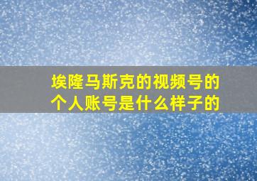 埃隆马斯克的视频号的个人账号是什么样子的