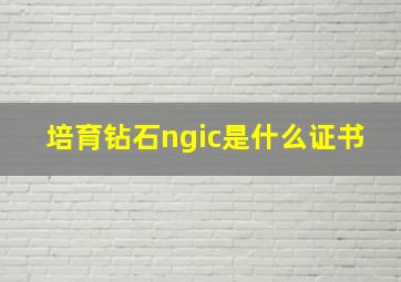 培育钻石ngic是什么证书