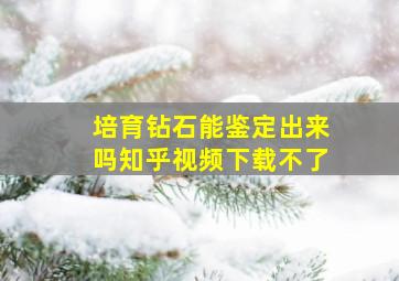 培育钻石能鉴定出来吗知乎视频下载不了