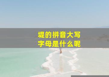 堤的拼音大写字母是什么呢