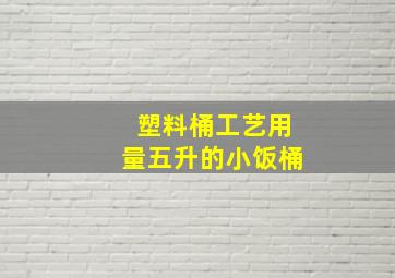 塑料桶工艺用量五升的小饭桶