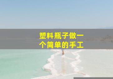 塑料瓶子做一个简单的手工