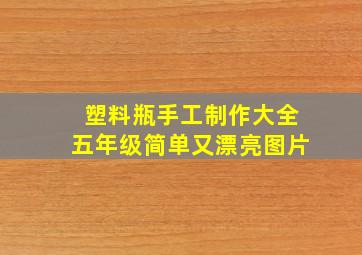 塑料瓶手工制作大全五年级简单又漂亮图片