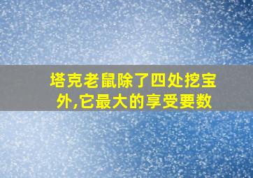 塔克老鼠除了四处挖宝外,它最大的享受要数