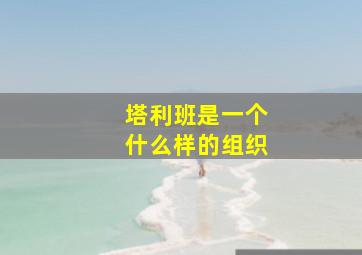 塔利班是一个什么样的组织