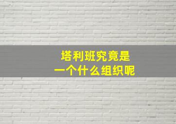 塔利班究竟是一个什么组织呢