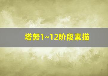 塔努1~12阶段素描