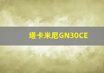 塔卡米尼GN30CE