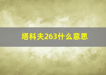 塔科夫263什么意思