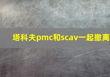 塔科夫pmc和scav一起撤离