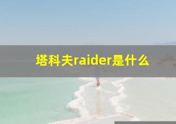 塔科夫raider是什么