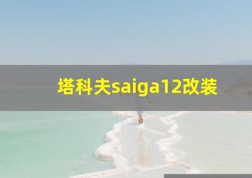 塔科夫saiga12改装