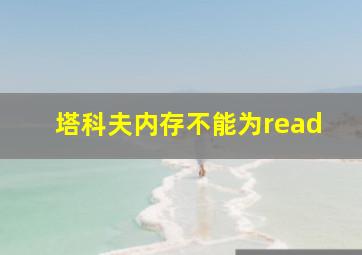 塔科夫内存不能为read