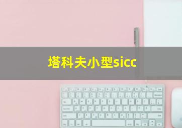 塔科夫小型sicc