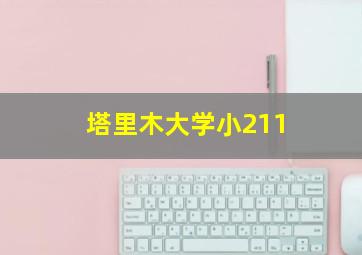 塔里木大学小211