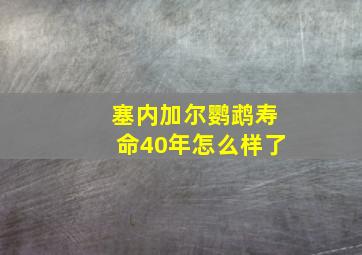 塞内加尔鹦鹉寿命40年怎么样了