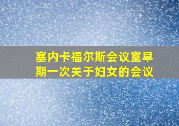 塞内卡福尔斯会议室早期一次关于妇女的会议