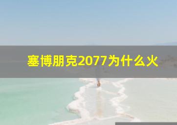 塞博朋克2077为什么火