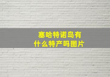 塞哈特诺岛有什么特产吗图片