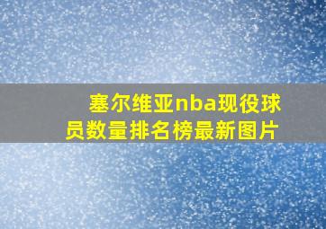 塞尔维亚nba现役球员数量排名榜最新图片