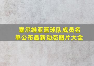 塞尔维亚篮球队成员名单公布最新动态图片大全