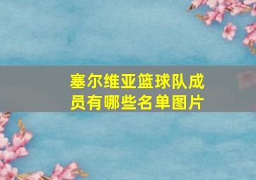 塞尔维亚篮球队成员有哪些名单图片