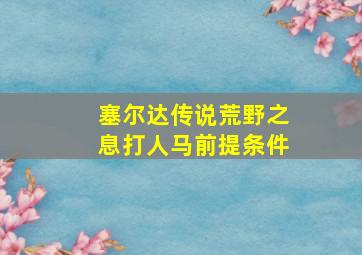 塞尔达传说荒野之息打人马前提条件