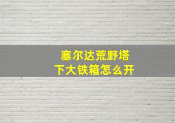 塞尔达荒野塔下大铁箱怎么开