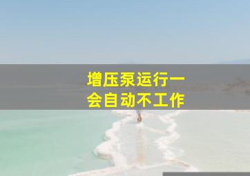 增压泵运行一会自动不工作