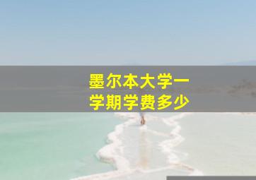 墨尔本大学一学期学费多少