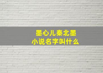 墨心儿秦北墨小说名字叫什么