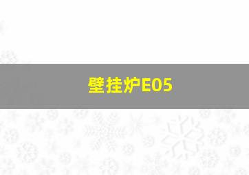 壁挂炉E05