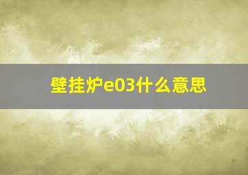 壁挂炉e03什么意思