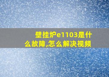 壁挂炉e1103是什么故障,怎么解决视频