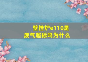 壁挂炉e110是废气超标吗为什么