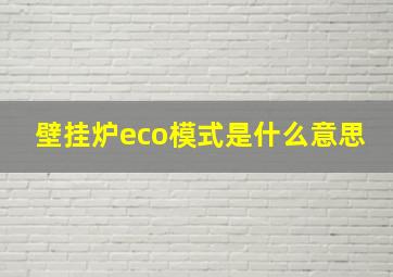 壁挂炉eco模式是什么意思