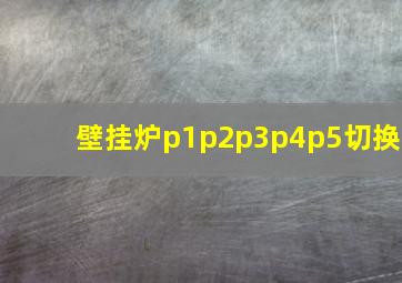 壁挂炉p1p2p3p4p5切换