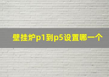 壁挂炉p1到p5设置哪一个