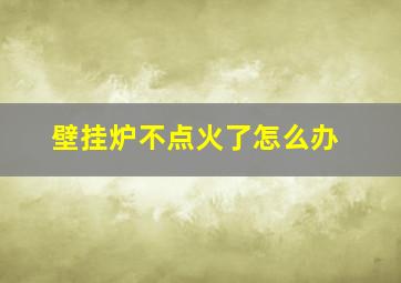 壁挂炉不点火了怎么办