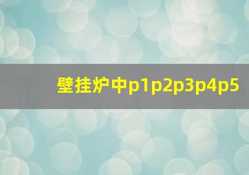 壁挂炉中p1p2p3p4p5